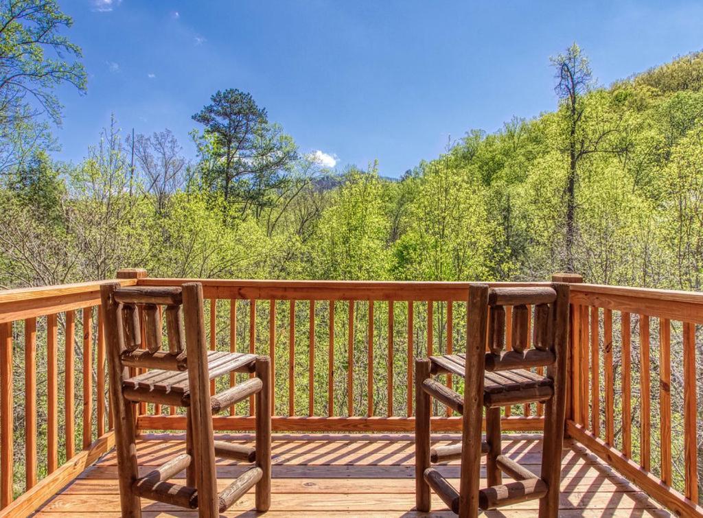 Heavenly Bear, Hot Tub, 1089 Of Free Attraction Tickets For Each Paid Day, Dollywood And More Sevierville Exterior photo